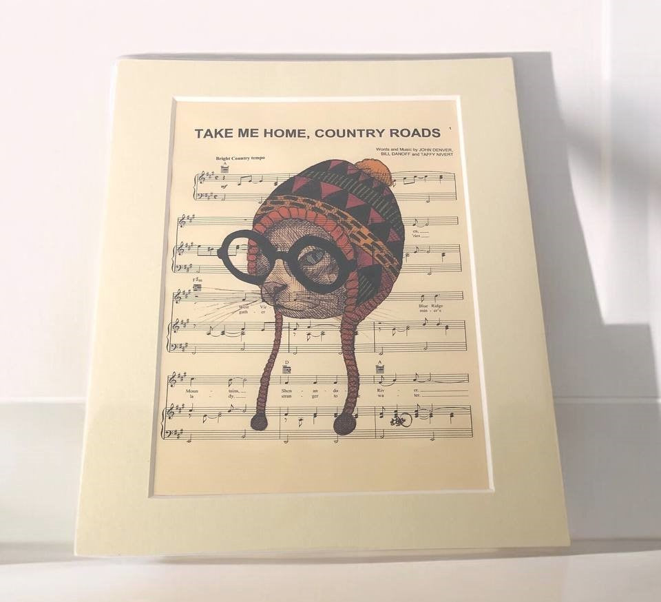 Take Me Home, Country Roads Quirky Cat - Unique Art Print Hard Board Poster