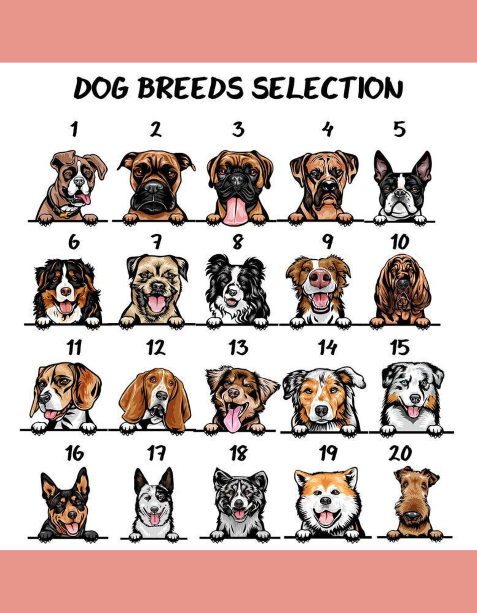 a drawing of a dog breeds selection